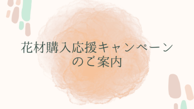 花材購入応援キャンペーン・11月花材の紹介