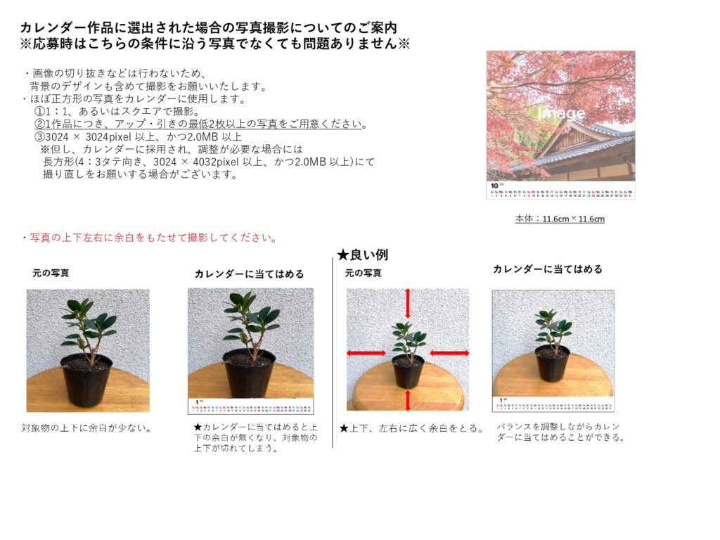 JPFA2025年カレンダーコンテスト実施のご案内 | JPFA