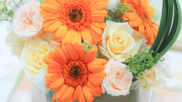 2026年3月カレンダーレシピ